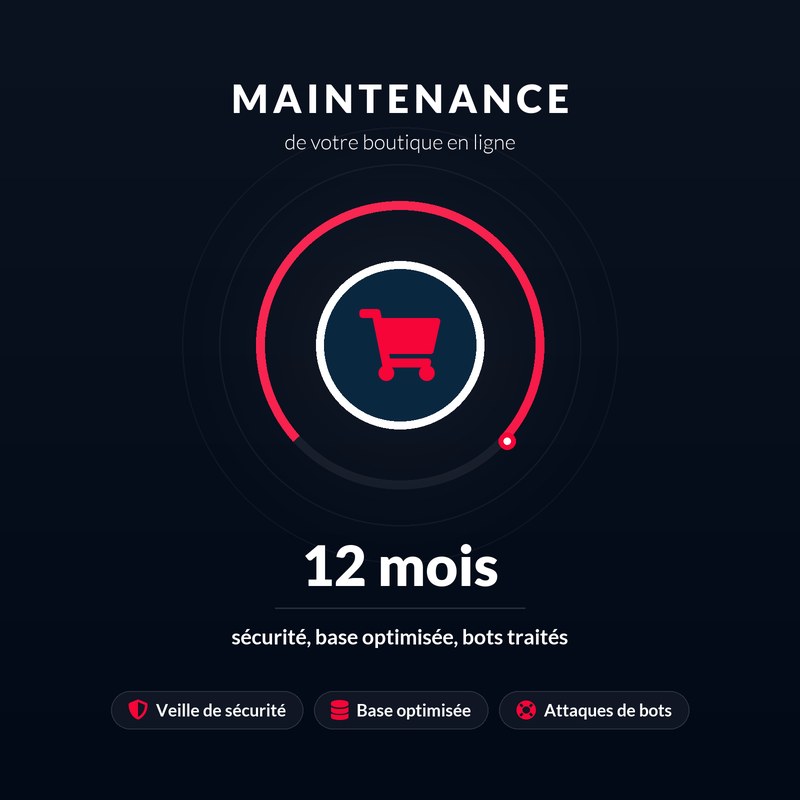 Maintenance annuelle - site e-commerce : mises a jour, veille de securite et sauvegardes verifiees, sur douze mois